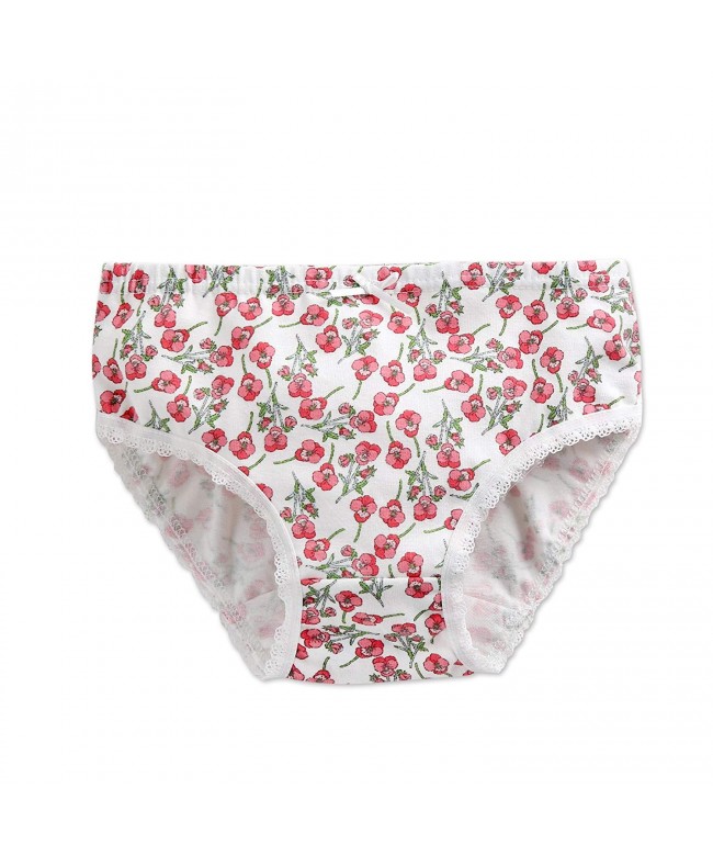 Little Girls Briefs Soft Cotton Toddler Underwear Set (Pack of 3 ...