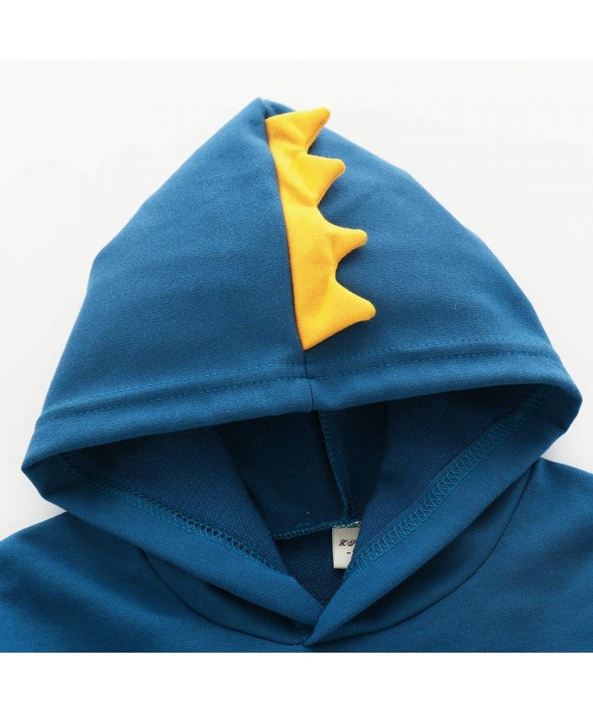 Cotton Dinosaur Hoodie Tops Long Sleeve for Boys 3-6 Years - Dinosaur ...